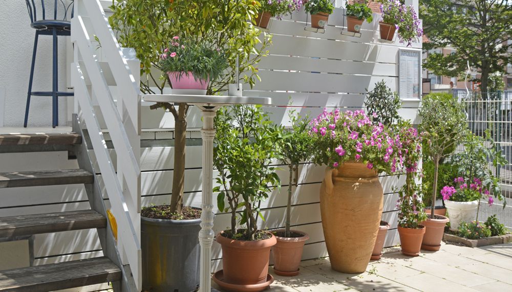 Restaurant Apollon Göttingen - Terrasse