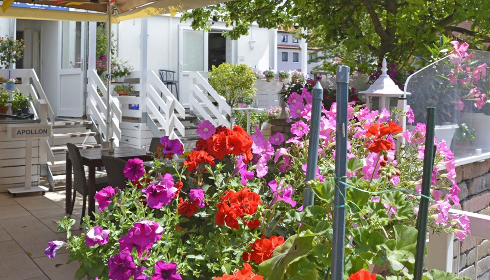 Restaurant Apollon Göttingen - Terrasse